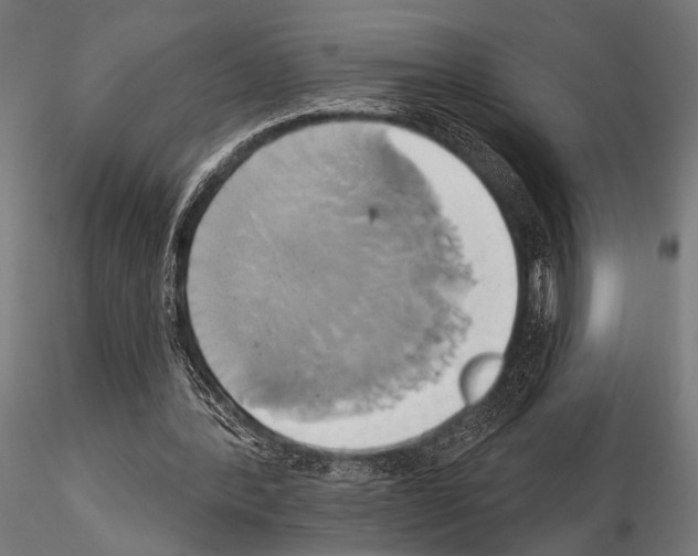 X0000115170388200912091029