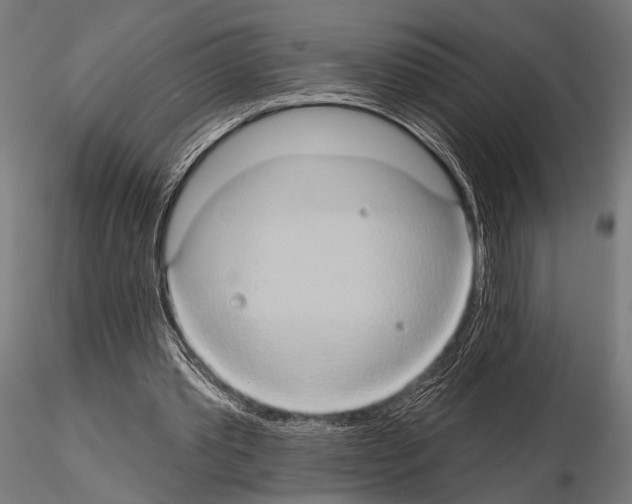 X0000115170389200912091029