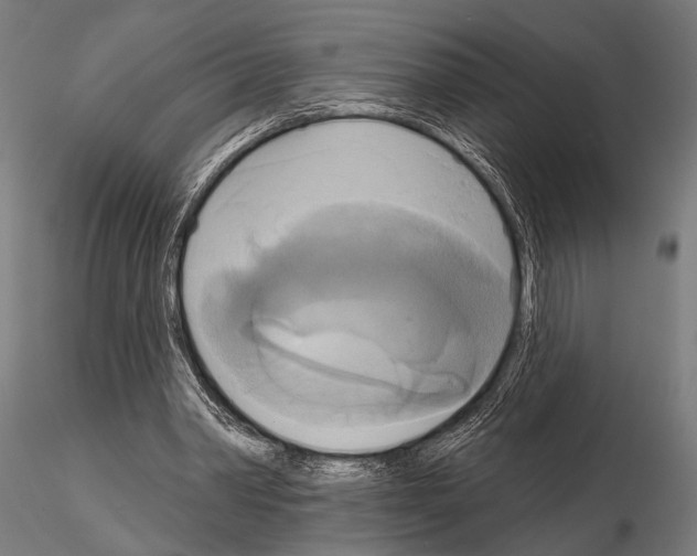 X0000115170390200912091029