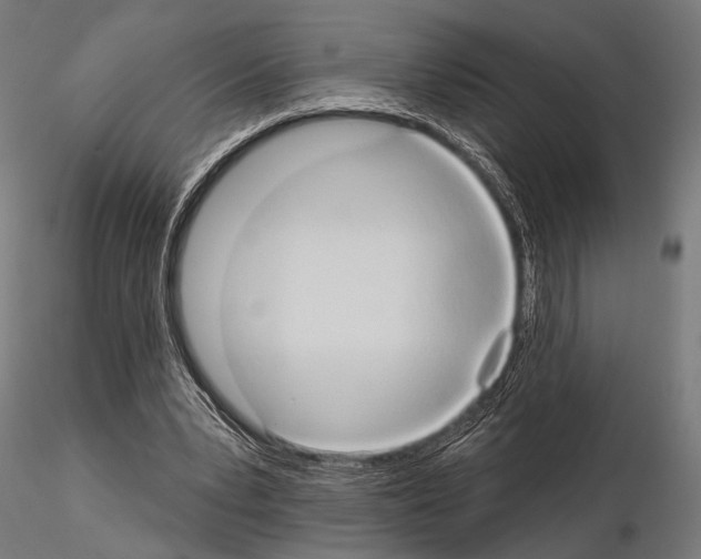 X0000115170391200912091029