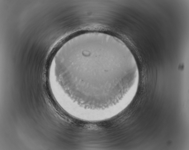 X0000115170392200912091029