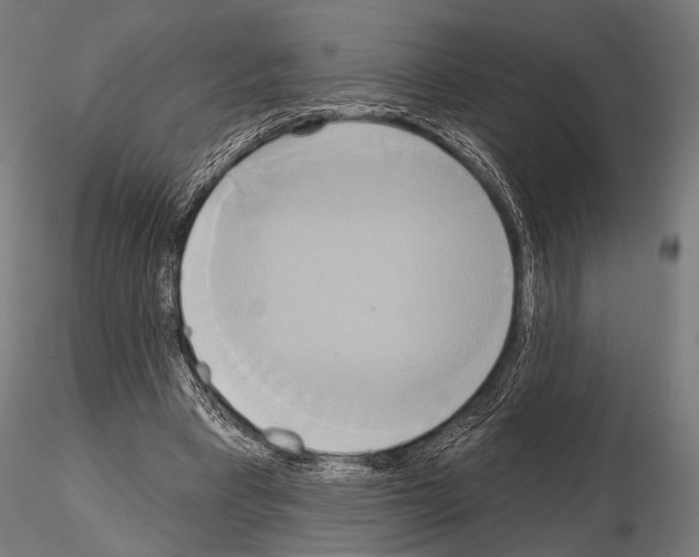 X0000115170393200912091029