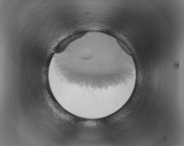 X0000115170394200912091029