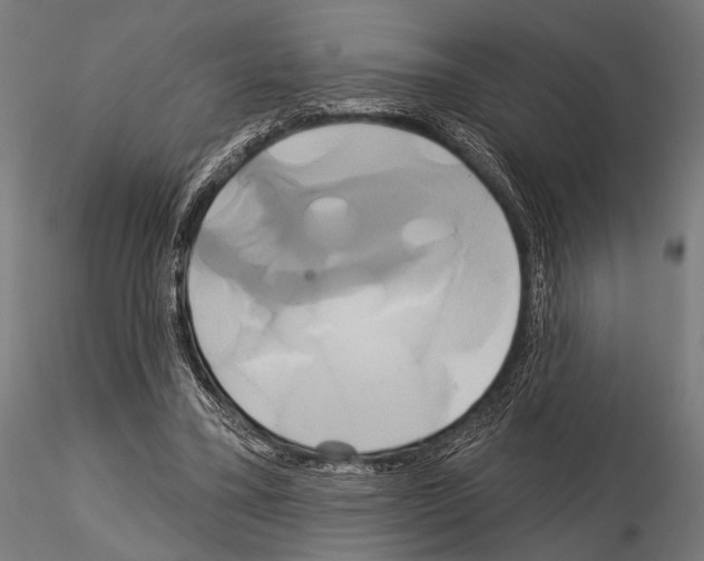 X0000115170395200912091029