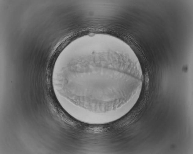 X0000115170396200912091029