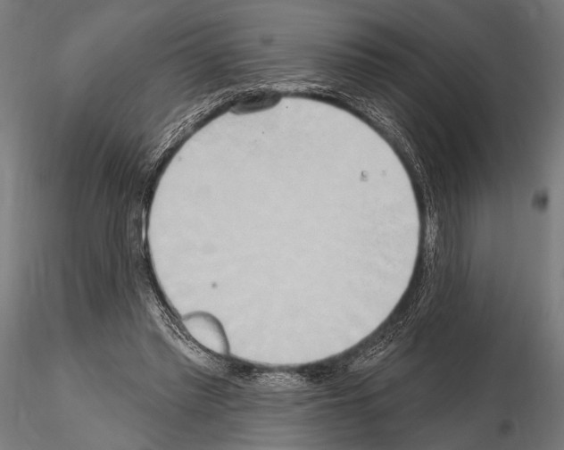 X0000115170397200912091029