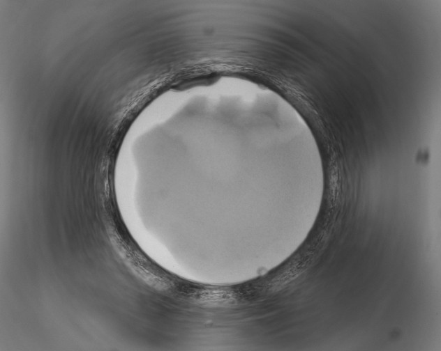 X0000115170398200912091029