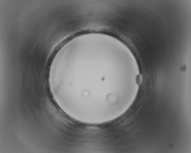 X0000115170399200912091028