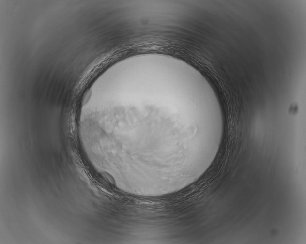 X0000115170400200912091028