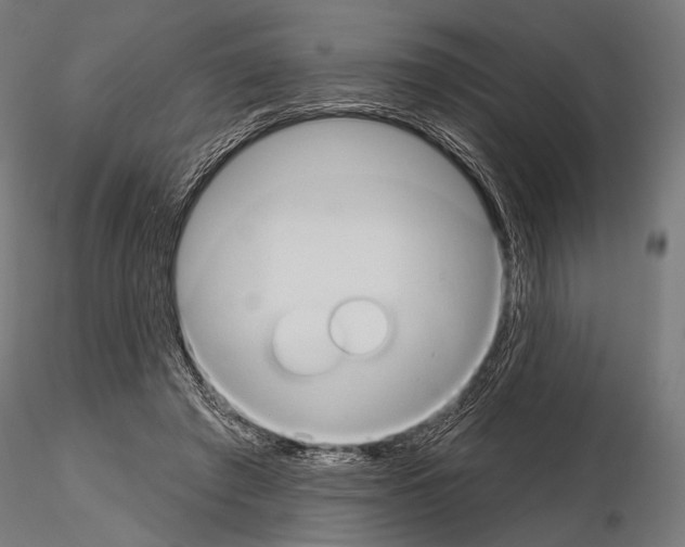 X0000115170401200912091028