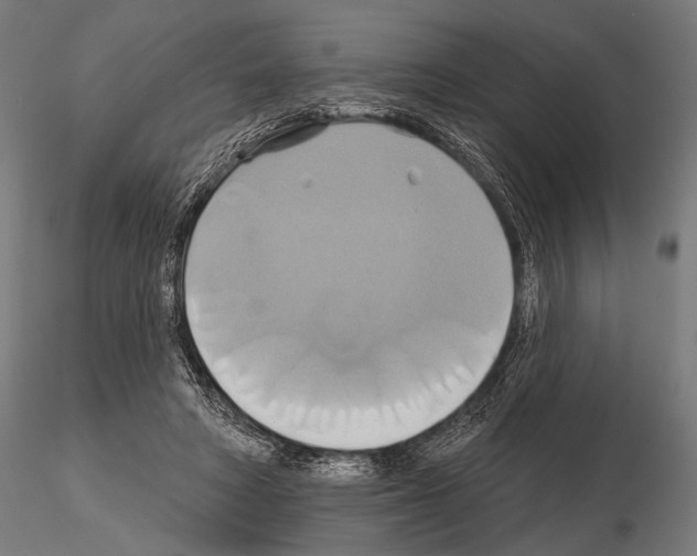 X0000115170402200912091028