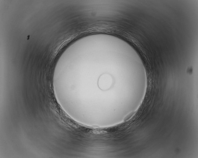 X0000115170403200912091028