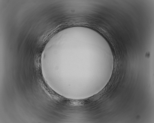 X0000115170405200912091028