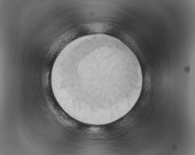 X0000115170406200912091028