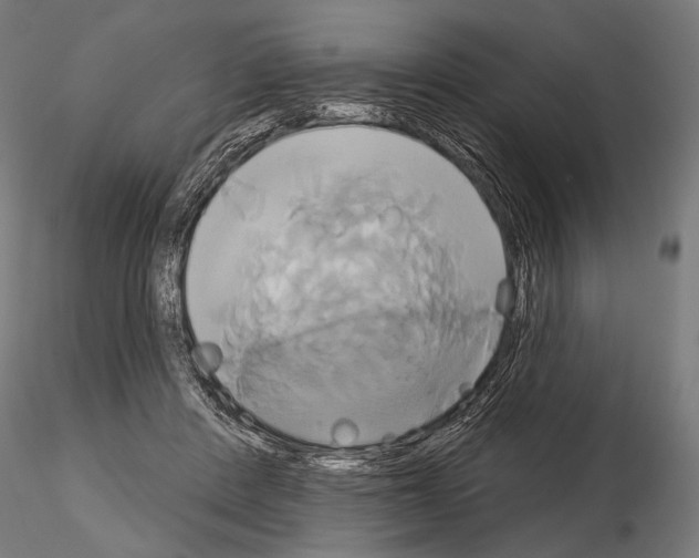 X0000115170408200912091028