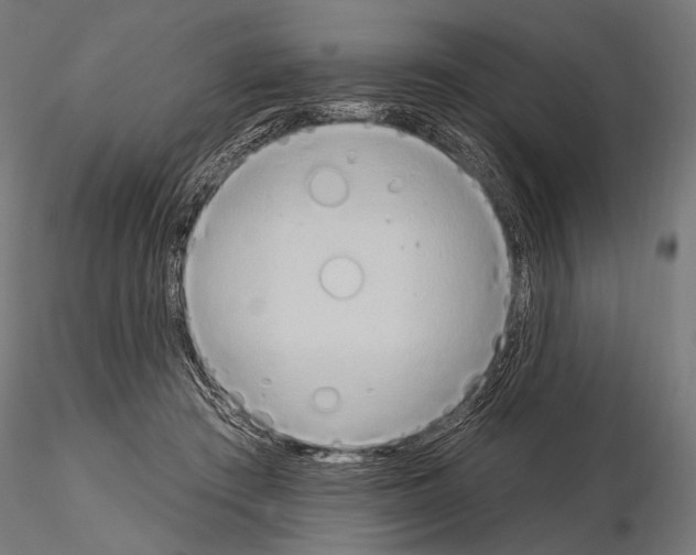 X0000115170409200912091028