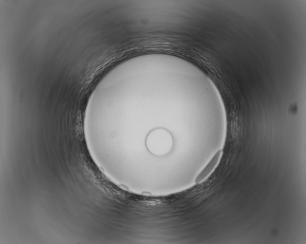 X0000115170411200912091028