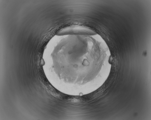 X0000115170412200912091028