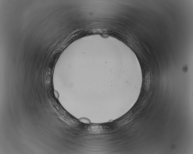 X0000115170413200912091028