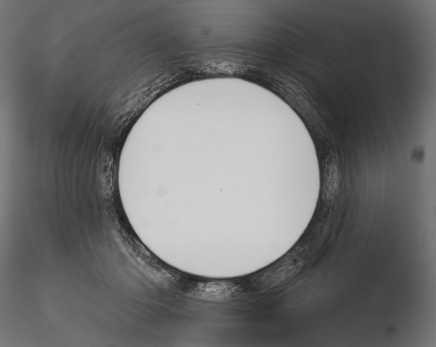 X0000115170414200912091028