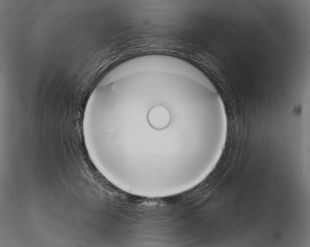 X0000115170415200912091028