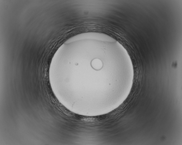 X0000115170417200912091028