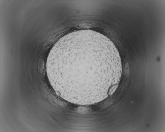 X0000115170418200912091028