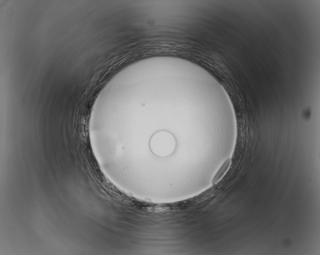 X0000115170419200912091028