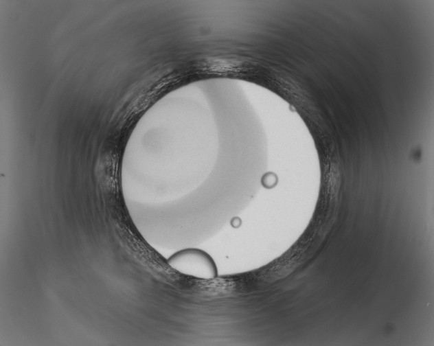 X0000115170421200912091028