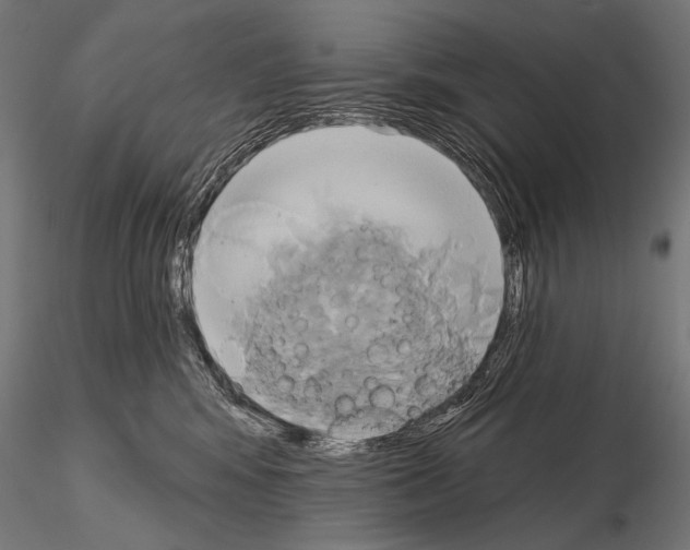 X0000115170424200912091028