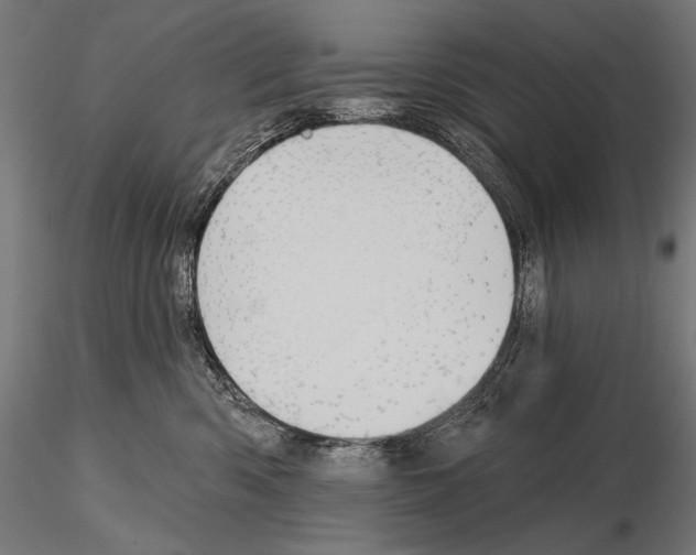 X0000115170426200912091028