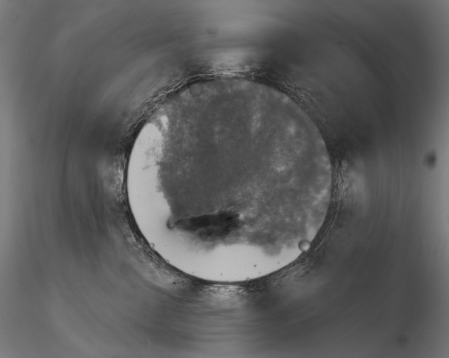 X0000115170427200912091028