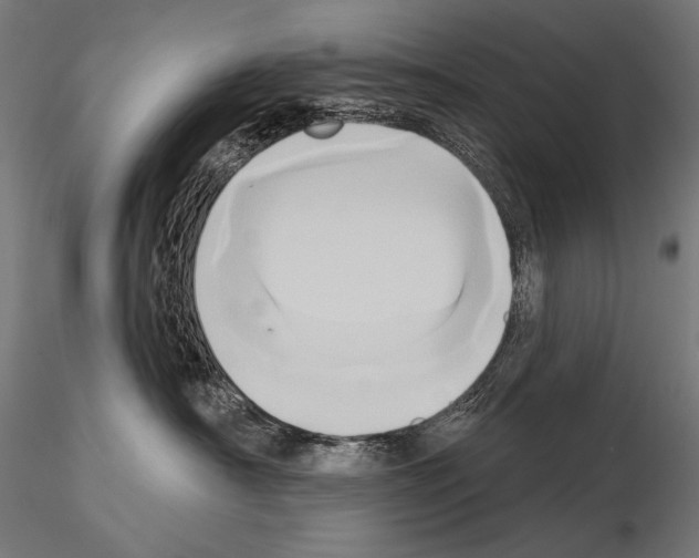 X0000115170430200912091028