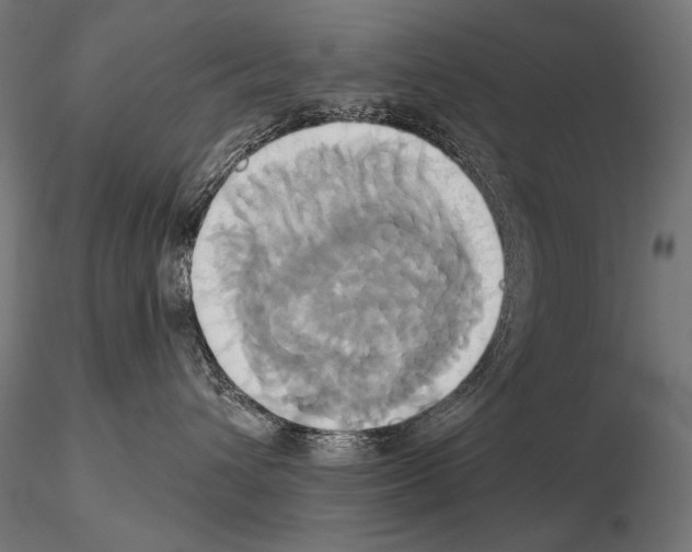 X0000115170432200912091028