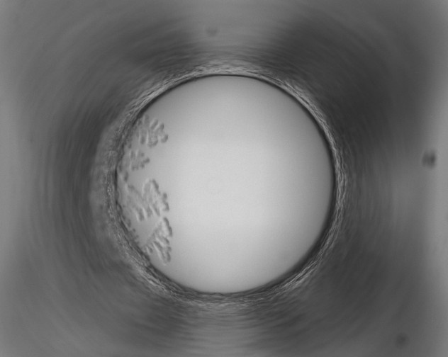 X0000115170433200912091027