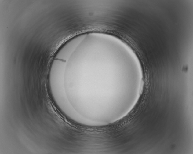 X0000115170434200912091027