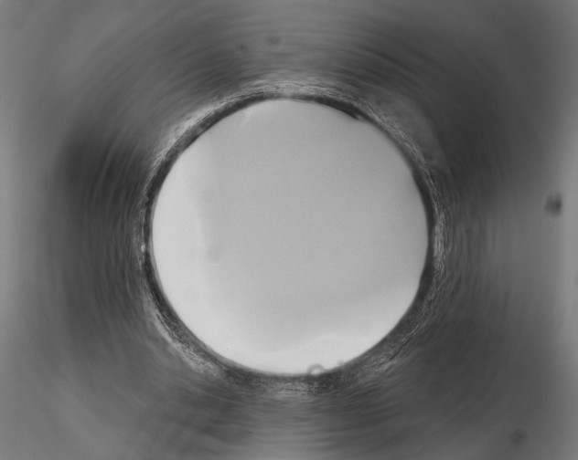 X0000115170438200912091027