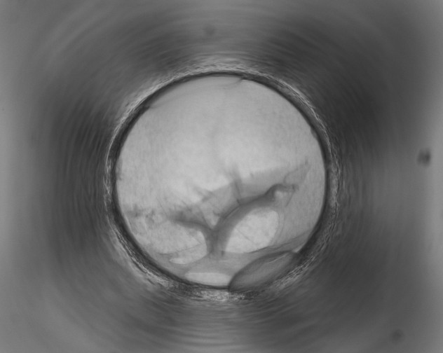 X0000115170439200912091027