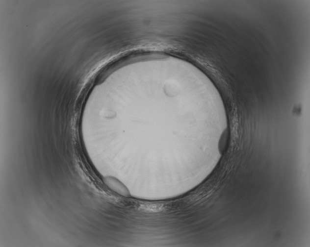 X0000115170440200912091027