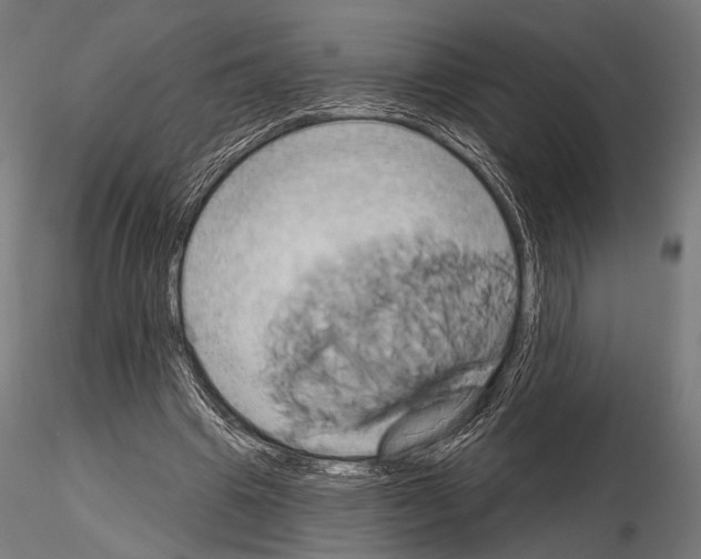 X0000115170441200912091027