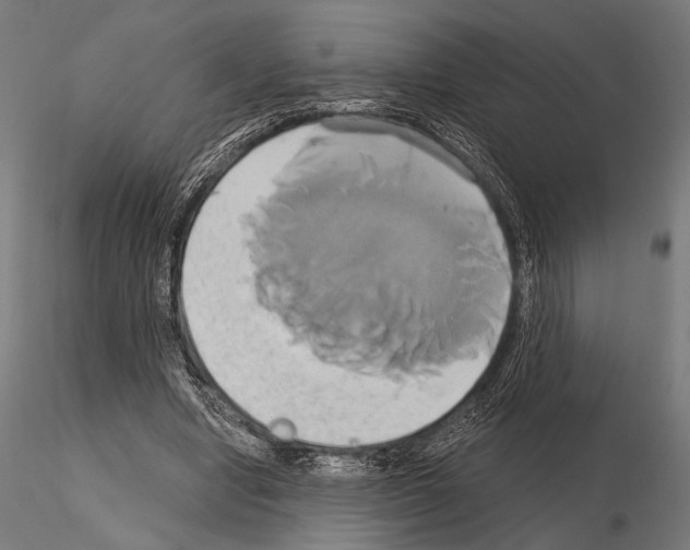 X0000115170442200912091028