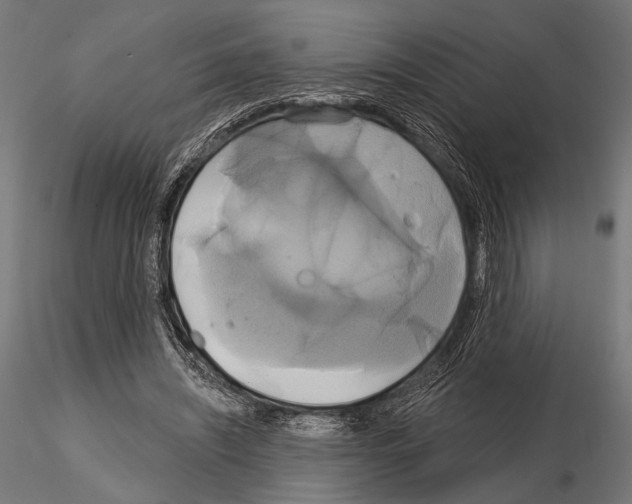 X0000115170444200912091028