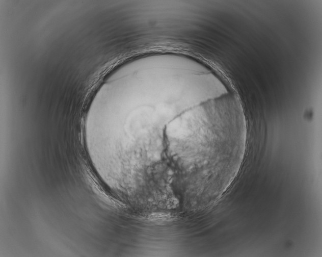 X0000115170445200912091028