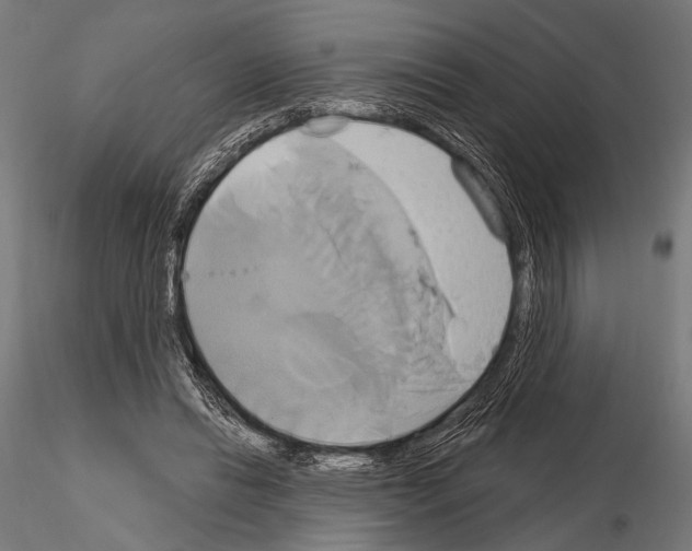 X0000115170446200912091028