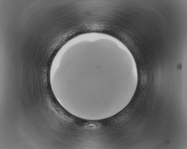 X0000115170447200912091028