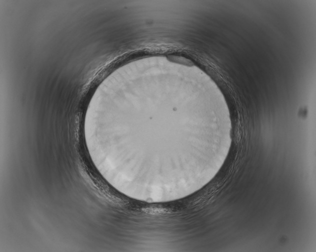 X0000115170448200912091028