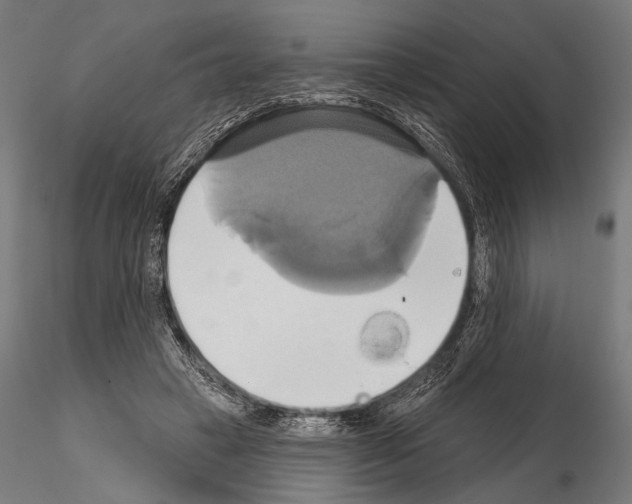 X0000115170449200912091028