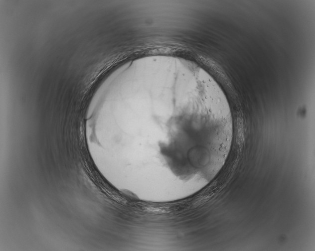 X0000115170451200912091028