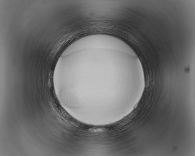 X0000115170452200912091028