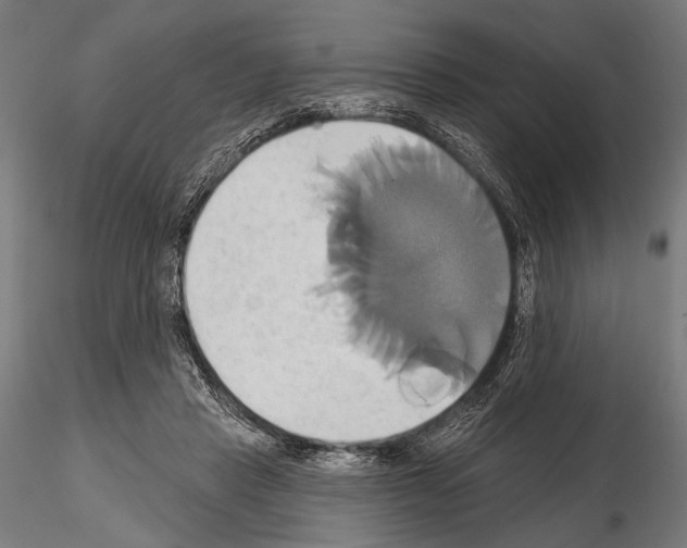 X0000115170453200912091028